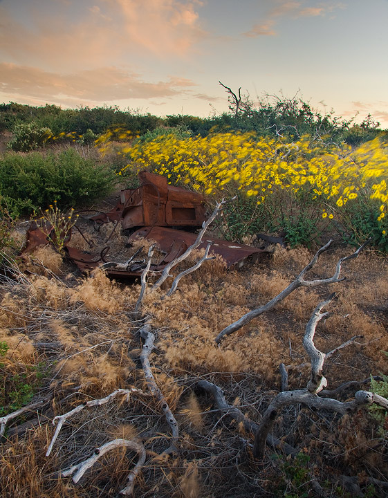Wind in the Junkyard