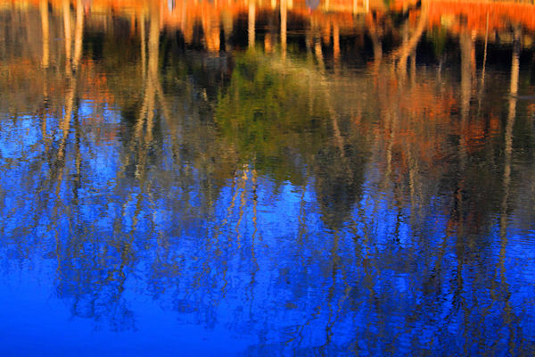 Reflections Devil's Den