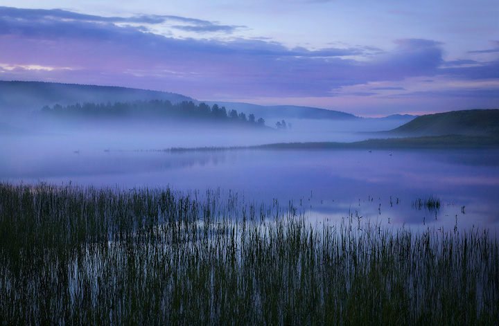 Summer Serenity