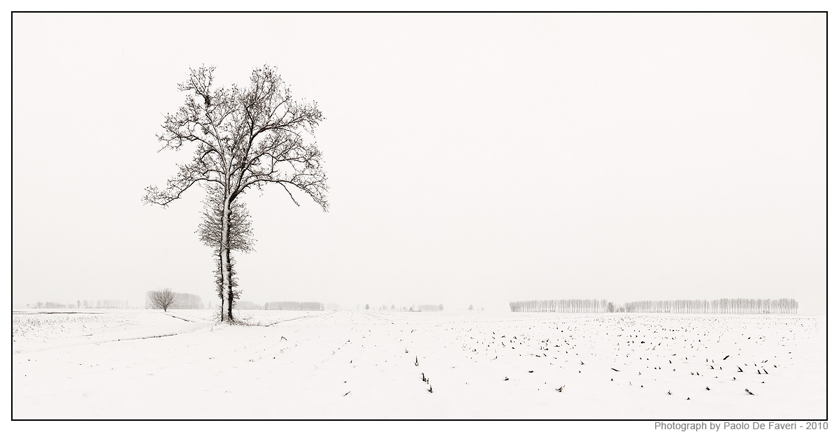 Late winter