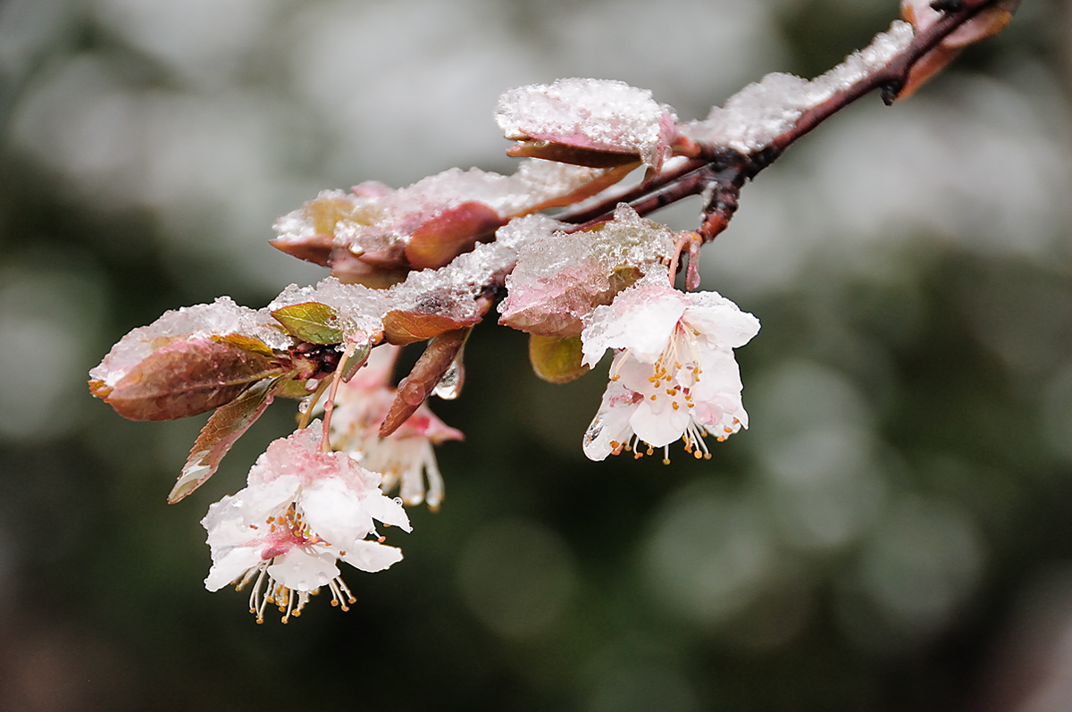 WC#422:  Spring?