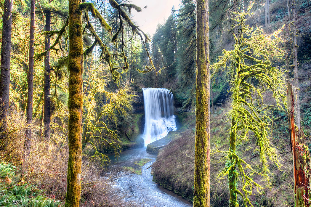 Middle North Silver Fall