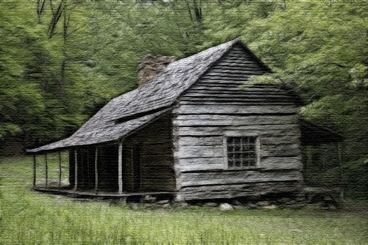 Cabin Fever