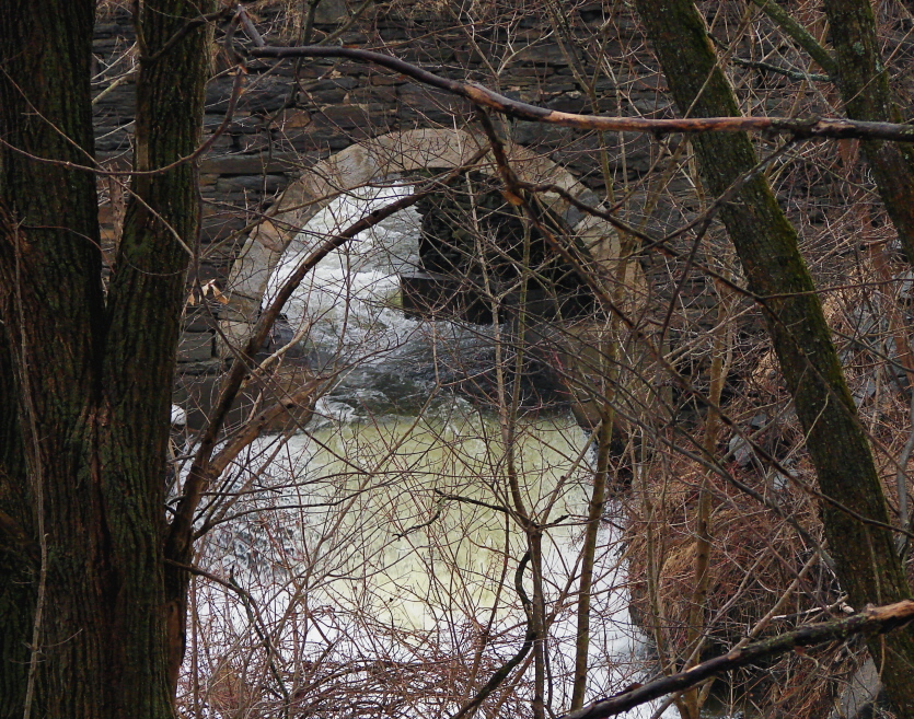 Swollen Arch