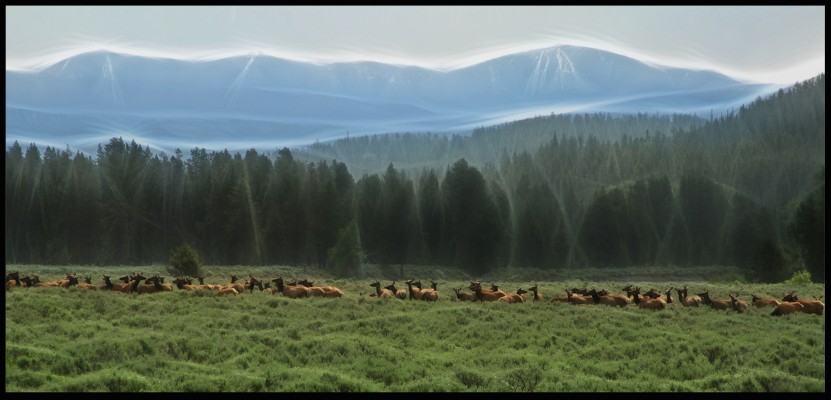 Summer in Wyoming