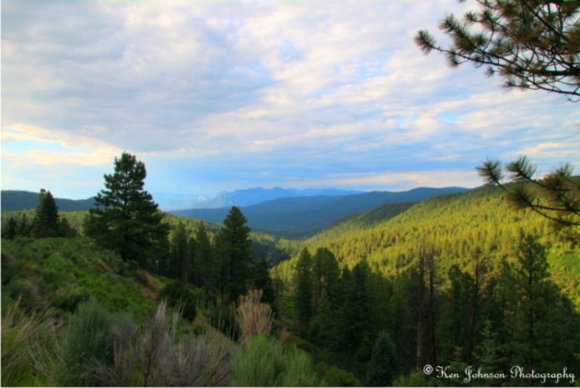 New Mexico Scenic