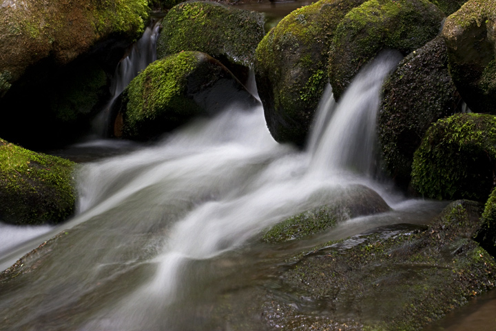 The River