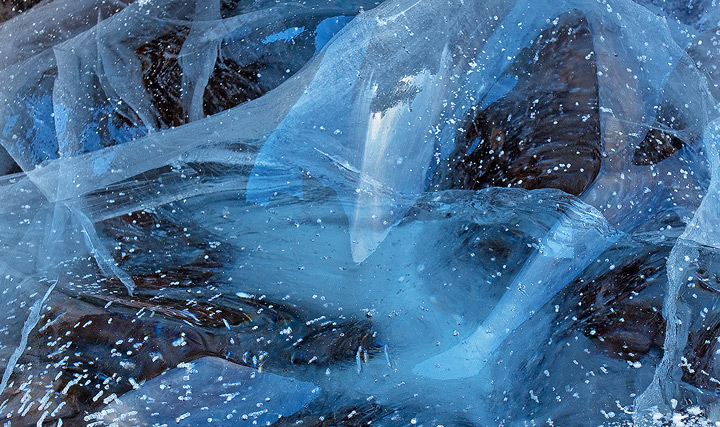 Frozen Dream #500