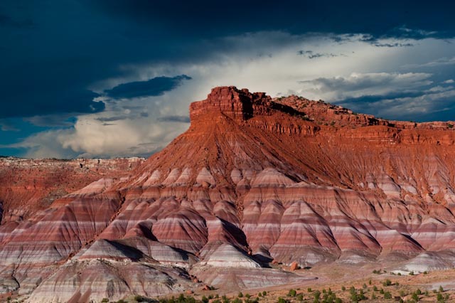 painted desert