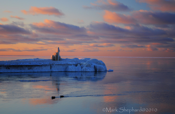 Winter Reprieve II