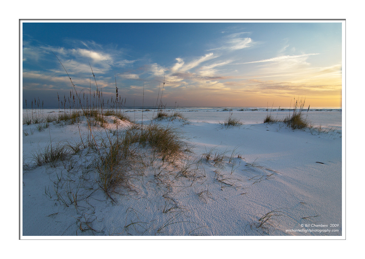 Late Afternoon