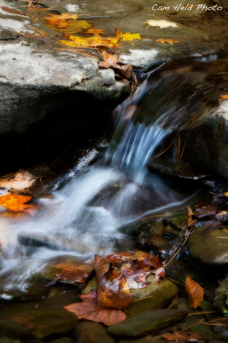 Autumn Falls