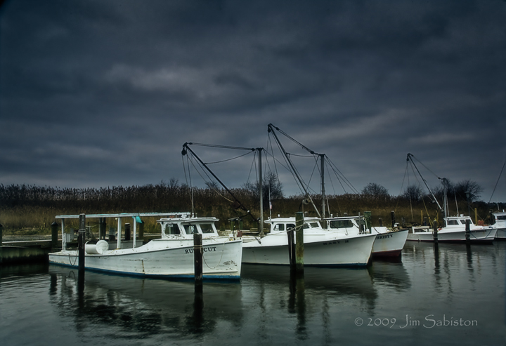 Fair Harbor