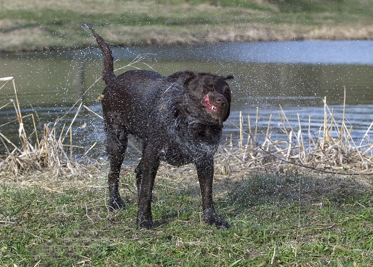 Sure sign of spring