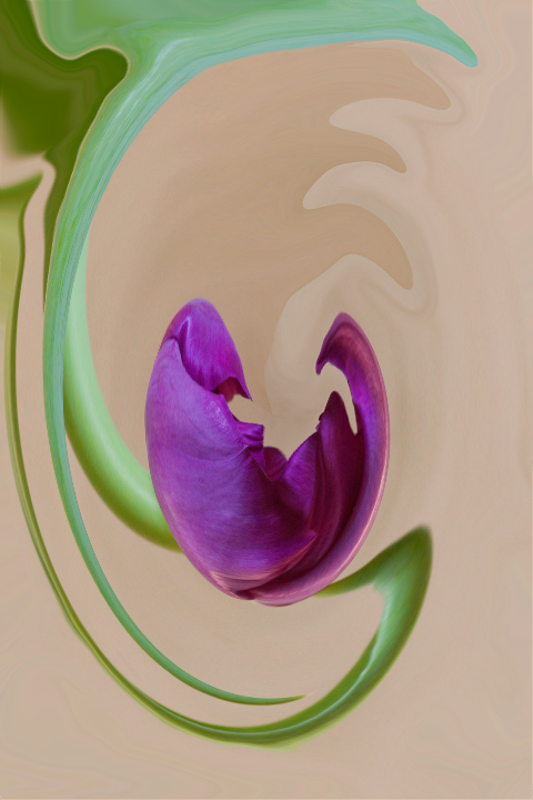 Purple Fantasy...