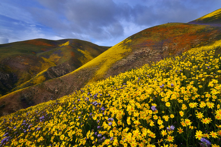 Carrizo Spring