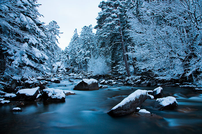Fairy Land