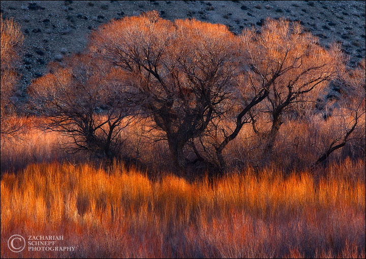 Burning Softly(w/crop)