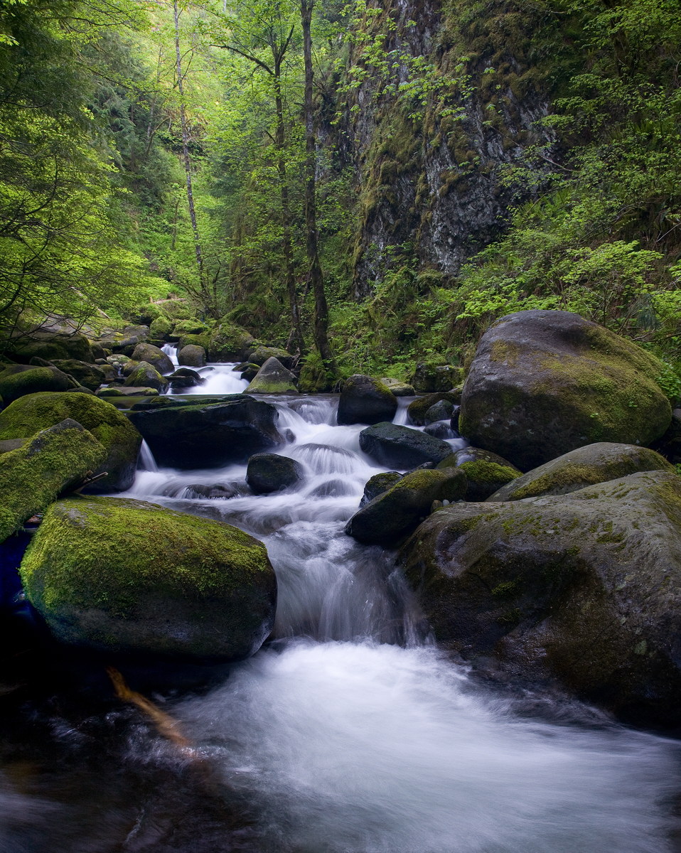 Multnomah Creek 