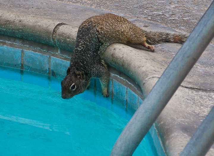 That Thirst!