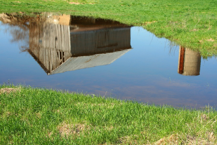 Pasture Reflection