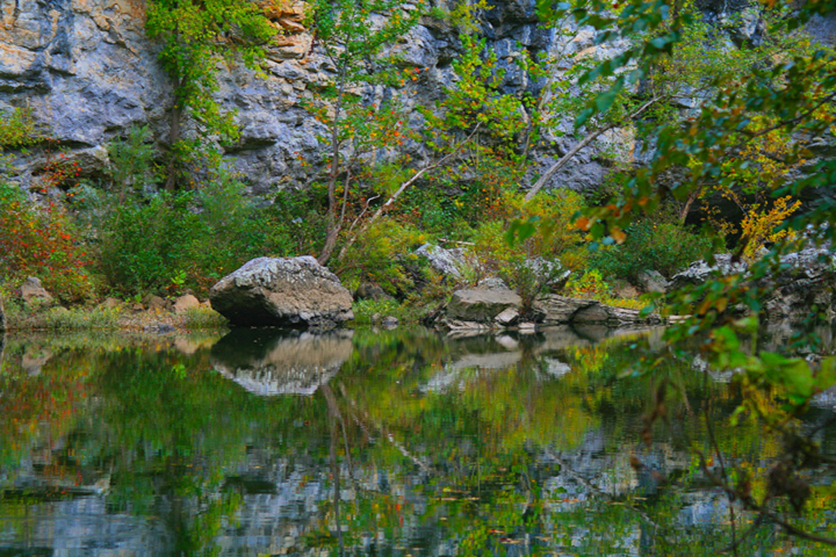 Arkansas Reflections