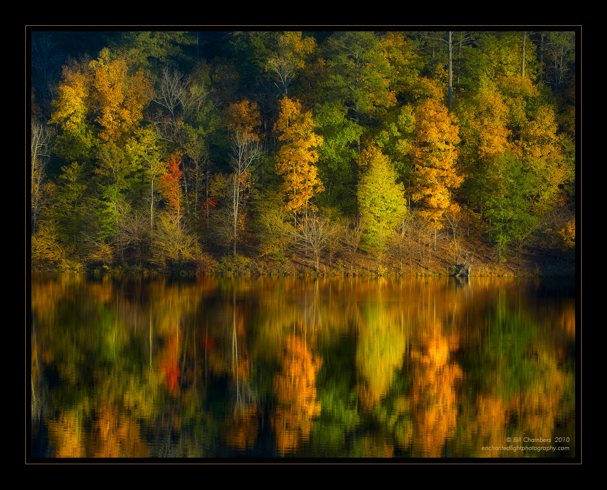 Fall Foliage