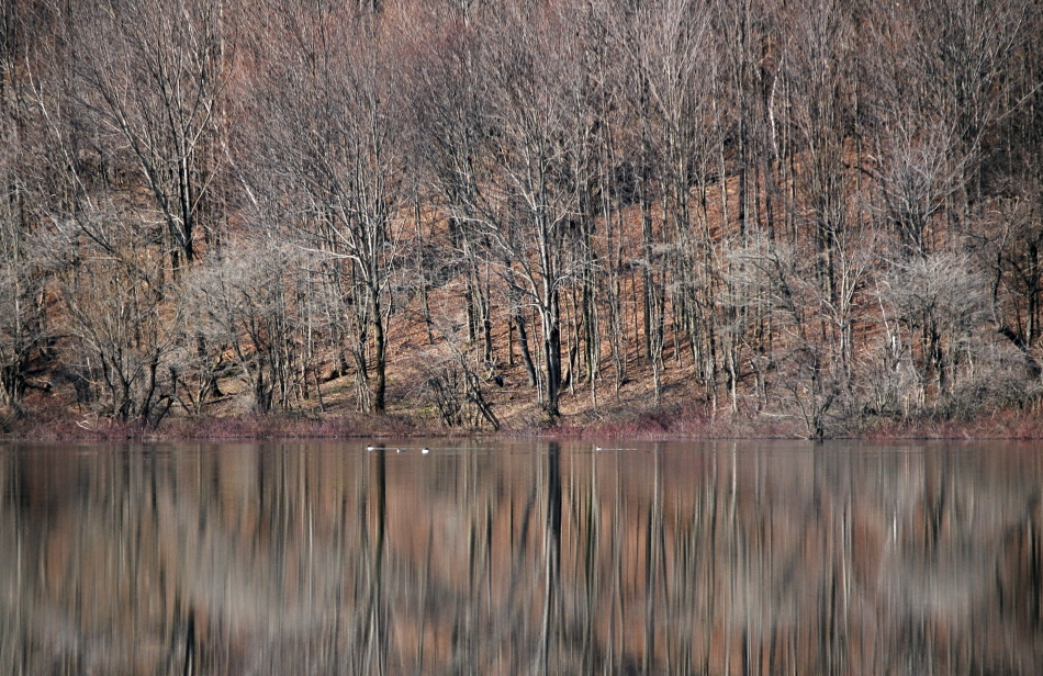 Rich Reflections