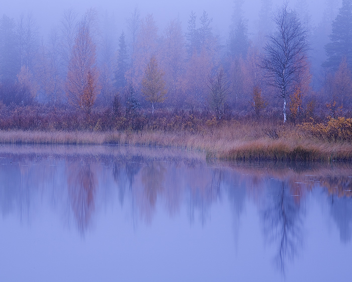 Silent Autumn