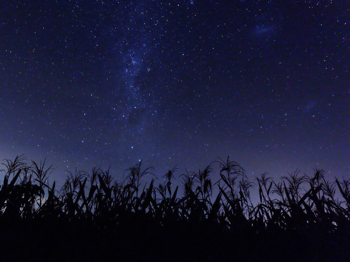 WC#427-The Southern Sky