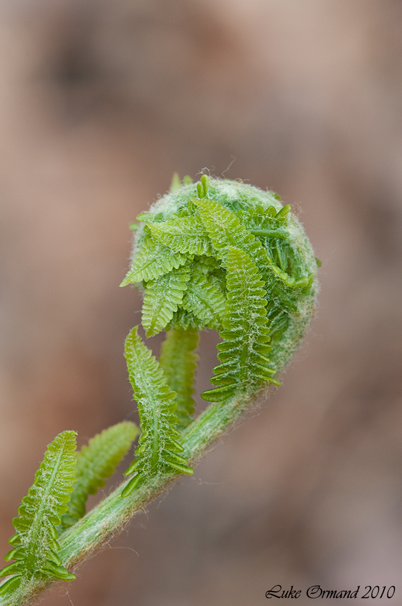 Unravel