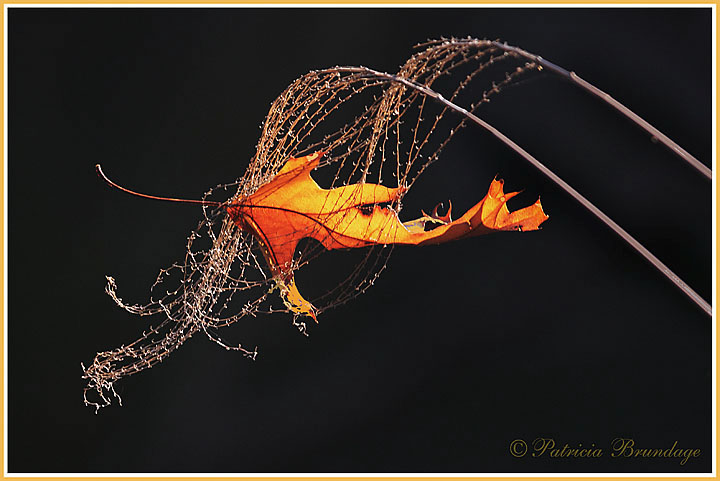 Soft Landing