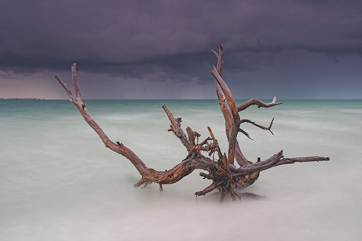 Tropical Storm Alberto