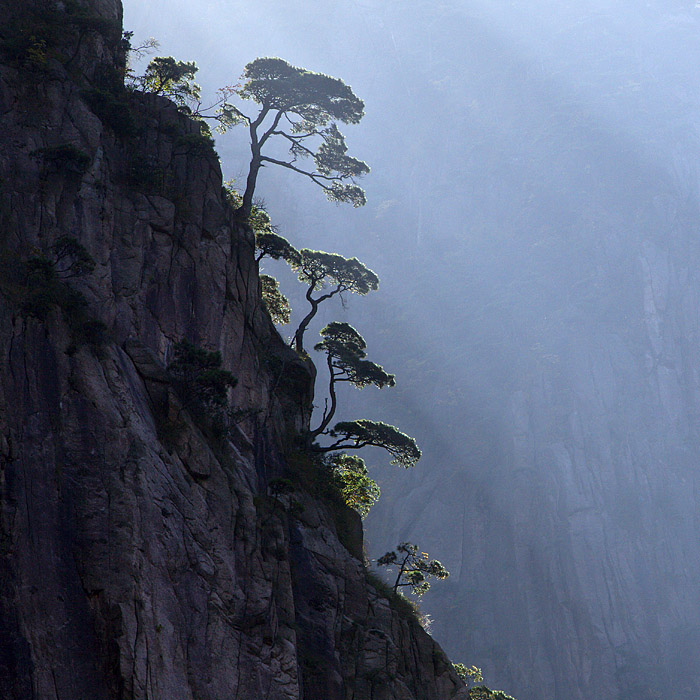 Yellow Mountain
