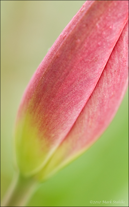 Spring At Last