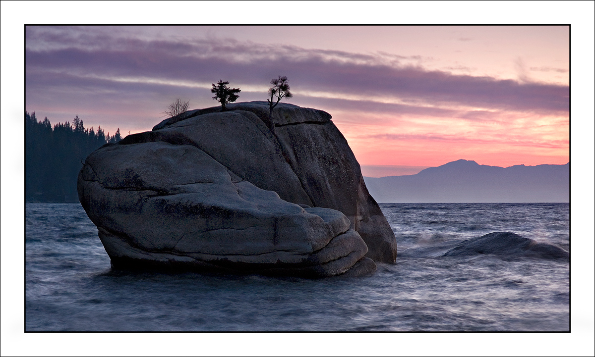 Bonsai Rock 