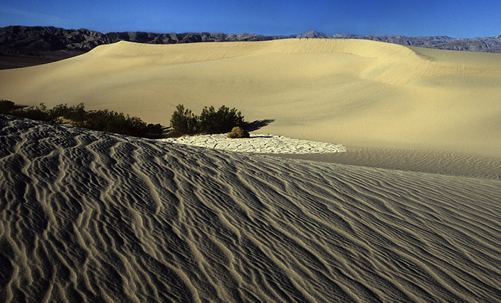 WC 428: Death Valley NP, CA
