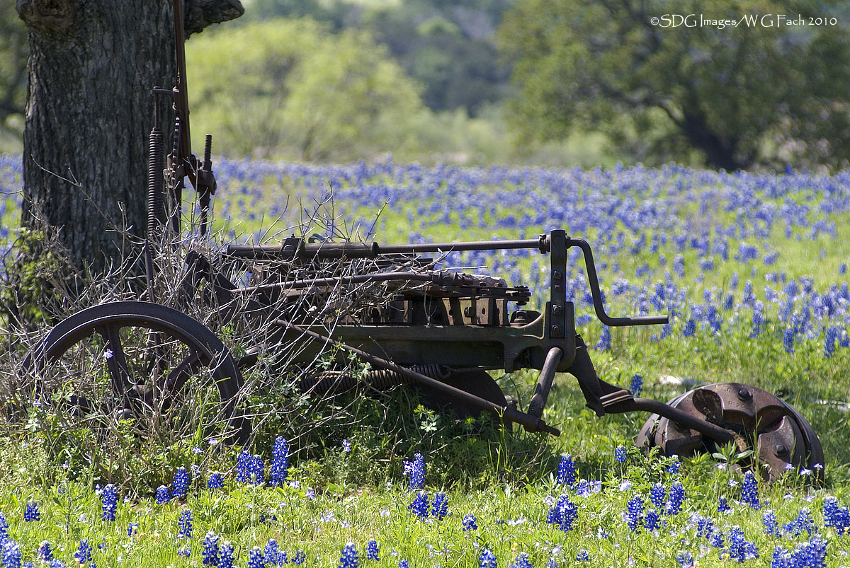Out To Pasture