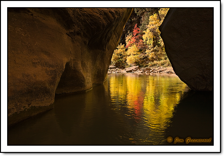 WC #428 - Zion N.P.