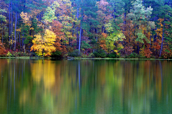 Lake Wedington in Fall