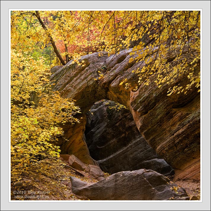 Hidden Arch