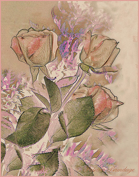3 Roses Abstract
