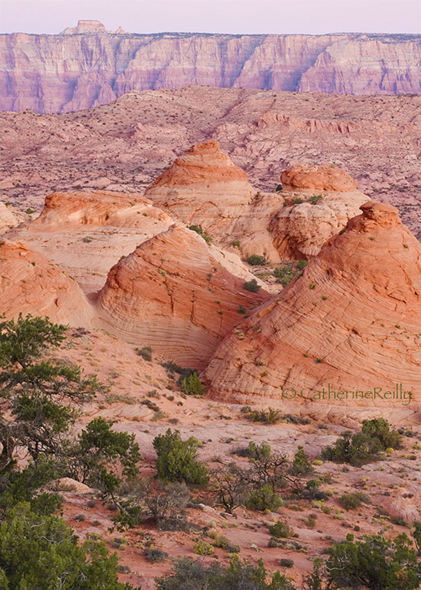 Teepees Landscape