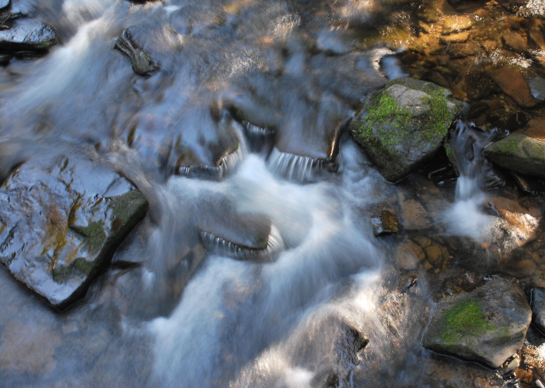 Sparkling Spring Water