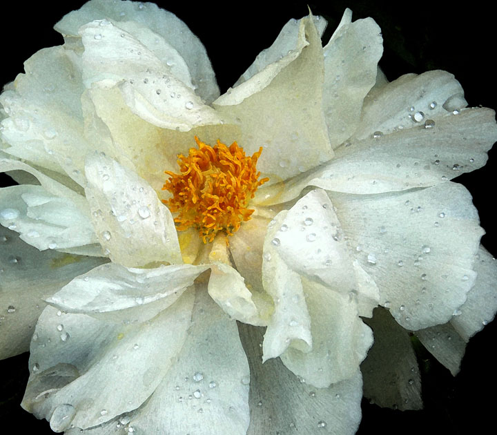 After The Rain