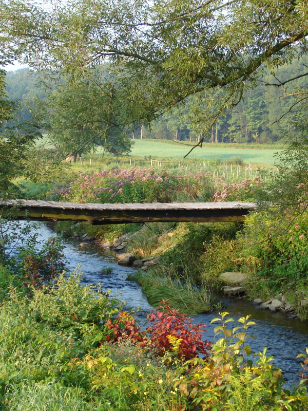 The Foot Bridge