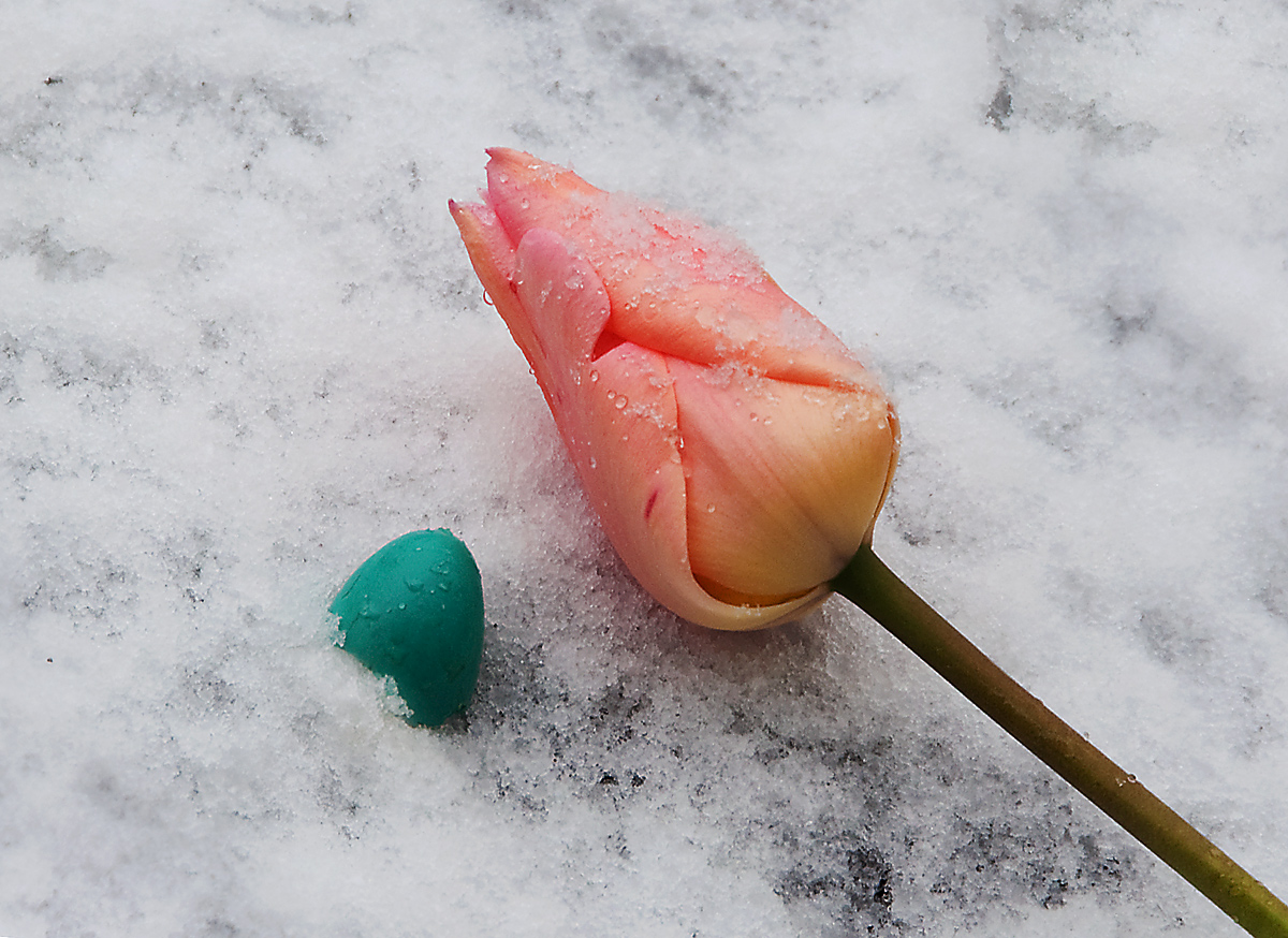 Signs of Spring?