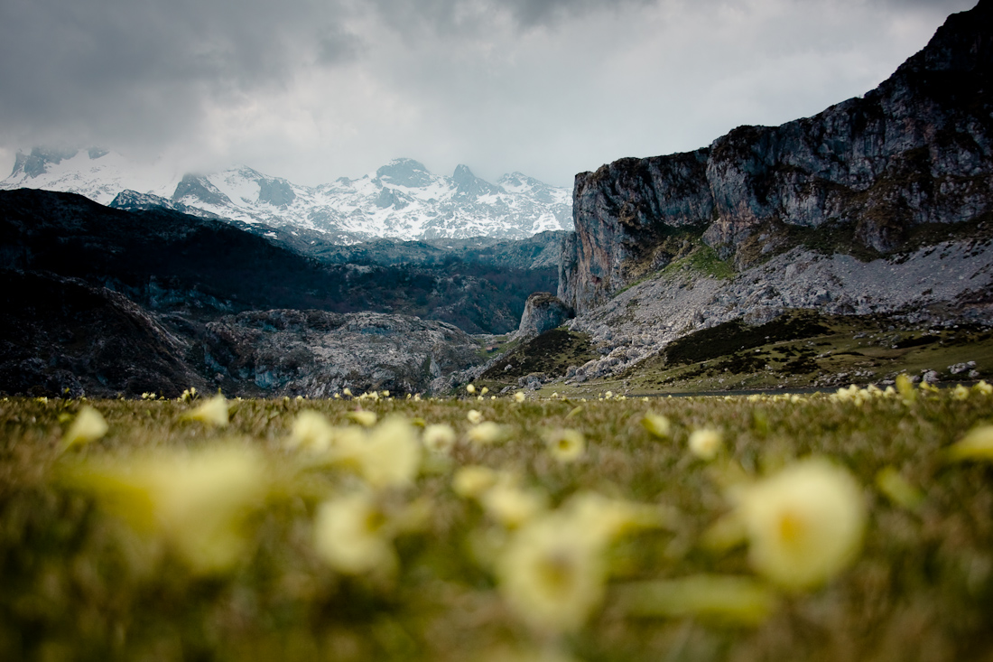 Picos de Europa