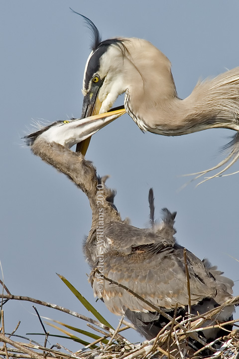 Juvy Heron and Mom