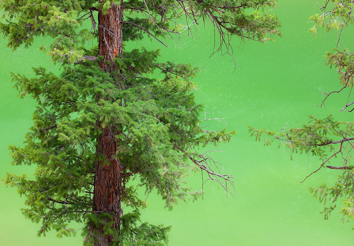 Green on Green